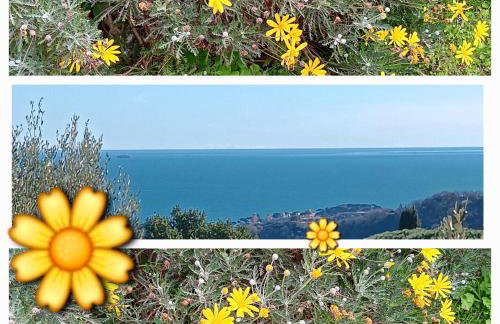 TraMonti e Mare, vista mare giardino, la casa che in ogni stagione si trasforma! - Foto 1
