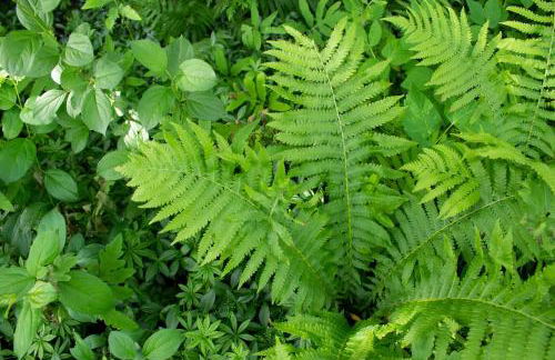 Harbor Hill House - Foto 38