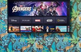 Poolside Tampa Stay- Game Room & Glam Room- Pool- Darts- Pool Table- Next to MacDill AFB - Foto 19