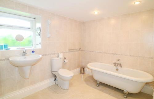 Forget-me-not - Foto 12