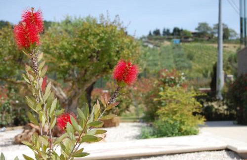 Country House Ciliegia Rossa - Photo 49