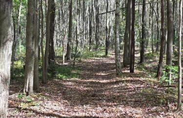 New Home with Game Room and Nature Trails in Port Huron - Photo 11