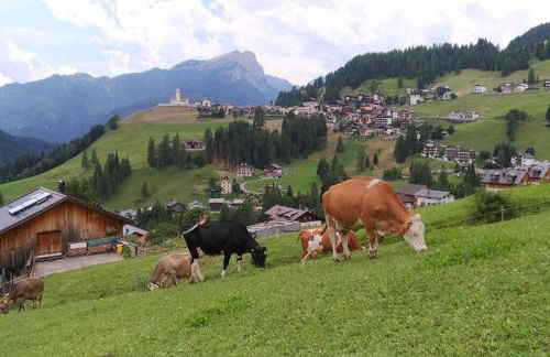 App Col di Lana - Agriturismo La Majon da Col - Foto 10