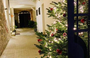 Johannis Suite - Schrangen-Suites-1389 - Foto 51