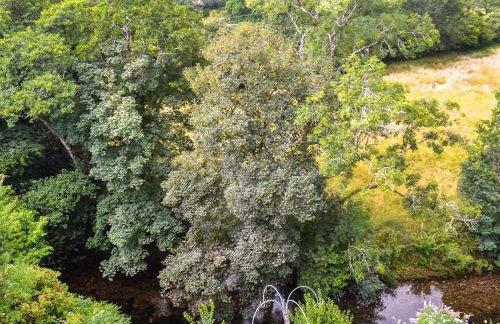 Glenview Cottage - Foto 8