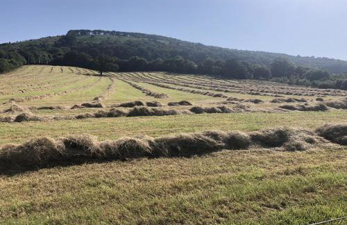 TVF Stable Suites - Foto 40