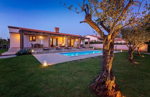 Villa Grebac - Foto 1