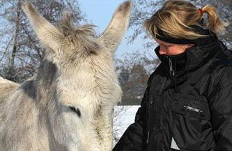 Pferdepension Jäger - Foto 13