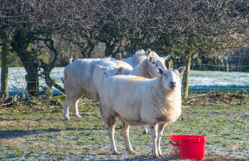 3 Bed in Denbigh oc-93994 - Foto 39