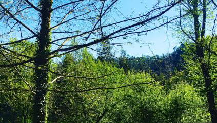 casadaeiradeangeja - Foto 3, Other