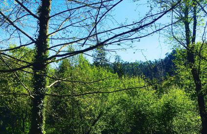 casadaeiradeangeja - Foto 3