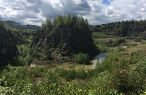 Eldorstal 1 - Ferienwohnung in Bad Harzburg mit Hund - direkt am Nationalpark - 1000 qm Garten - Foto 18