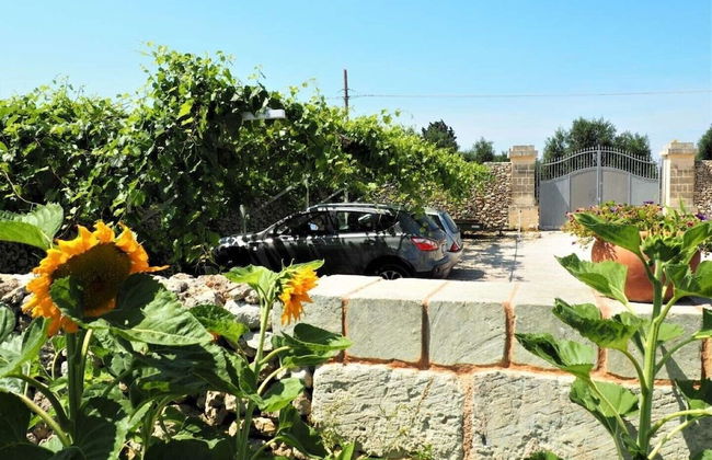 Masseria Costarella - Photo 80