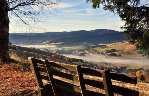 Echtes Schwarzwaldhaus - Traditionell & Modern - Foto 28