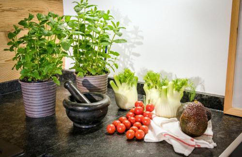 Ferienwohnungen Gut Fasanenhöhe - Photo 14