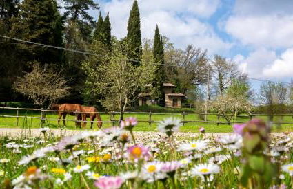 Castello di Santa Cristina - Foto 21