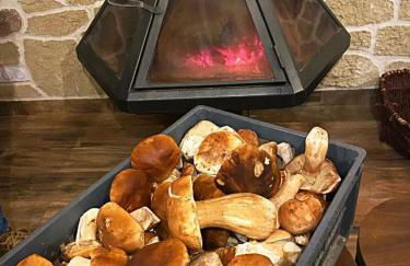 Gite l'Or des Cévennes - Foto 27