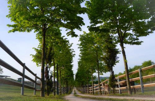 Pietra Cavalla - Ranch & Resort - Foto 50