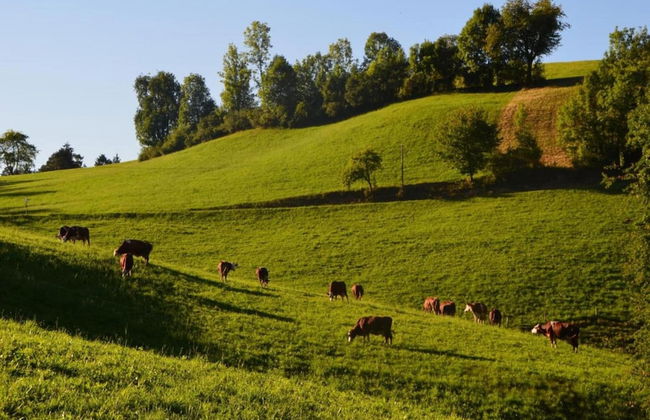 Gemutliche Wohnung in Schwenningen - Foto 32