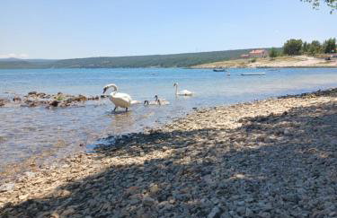 Apartmani Tanja Pridraga - Photo 8