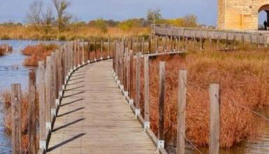 Charmant appartement au calme situé en Camargue - Foto 4