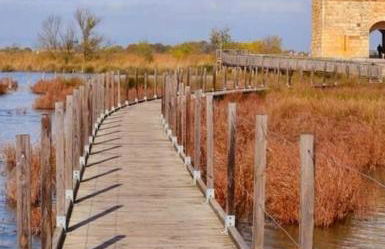 Charmant appartement au calme situé en Camargue - Foto 4