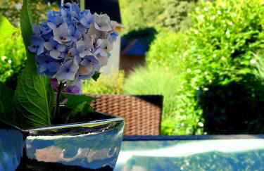 business-lodging Apartmenthaus - Foto 21