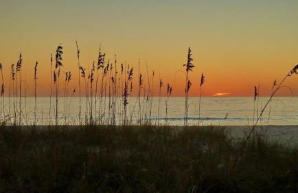 Harbourside 7718- Premier - Foto 80