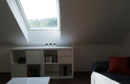 guest apartment niederalfingen - Foto 13