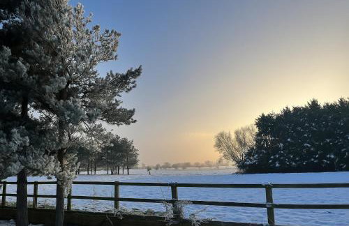 Countryside Retreat - Indoor Pool, Sauna, Hot Tub - Photo 34