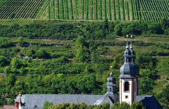 Ferienwohnungen Weinbergglück - Foto 8