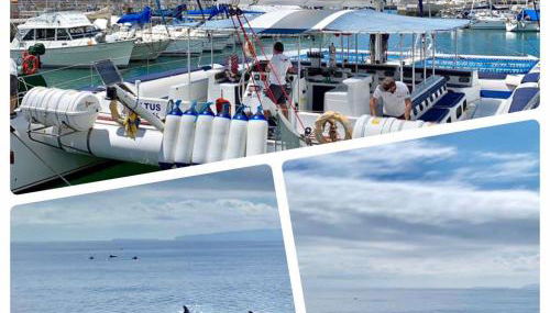 Villa Isabela - Car Rental for Free - Photo 5