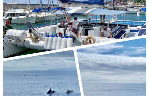 Villa Isabela - Car Rental for Free - Foto 5