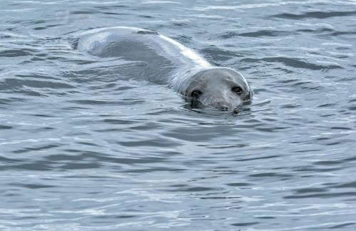 The Workshop- Eco Cottage by the Coastal Path - Photo 51