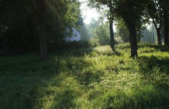 Holiday Home Oderhäuschen by Interhome - Photo 22