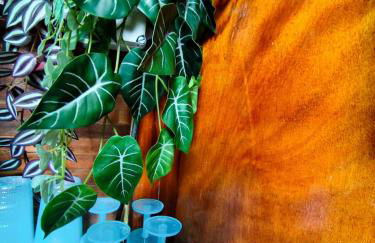 Voilier confortable en bois à cotés des plages et ferries - Photo 16