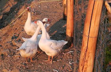 Dimora dei Cardinali - Foto 42