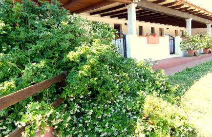 Comino Alto Agriturismo e Appartamenti - Foto 29