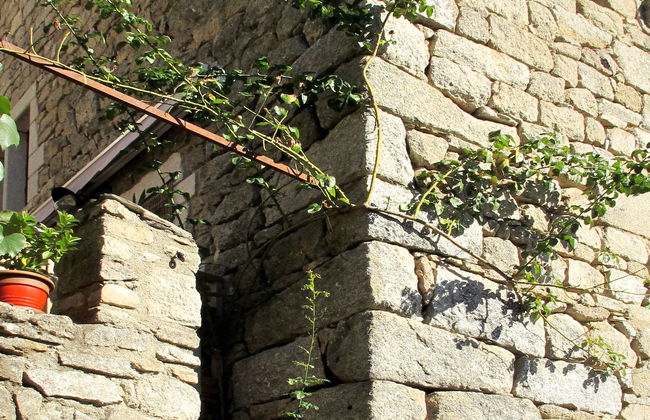 Le Rouge Borne - Foto 23