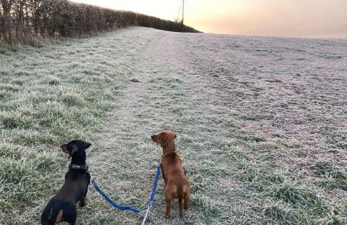 Little Corners - Foto 43