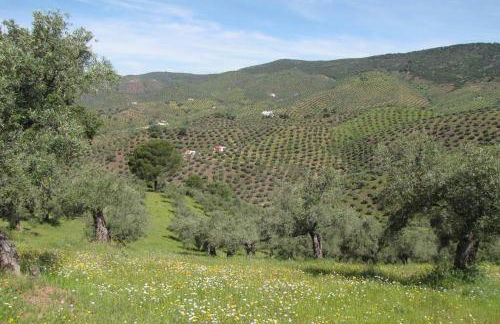 Cortijo "Era Grande 1" - Foto 37