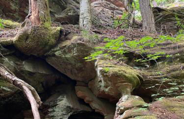 Ferienwohnung Burkhart - Foto 24