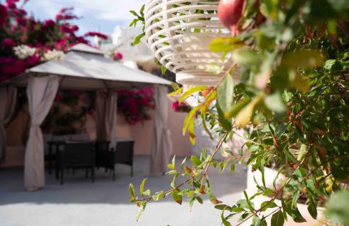 Bird Nest-Santorini Cave houses - Foto 30