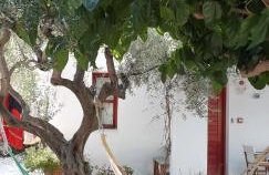 Kyfanta, studios & apartments in Kyparissi - Photo 20