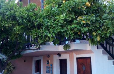 Sofia's Garden by Booking Kottas - Foto 2