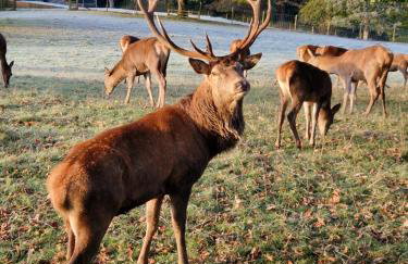 Fyne Byre Cottage - Barn Conversion with Hot Tub - Foto 49