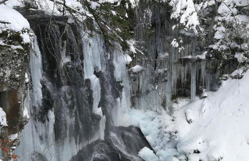La appartement des rosiers - Photo 21