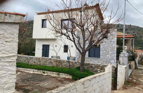 kipaki-trachila Mani - Foto 5