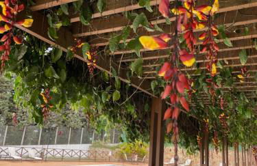 Suíte Vista Azul - Frente para Pedra Azul - Photo 29