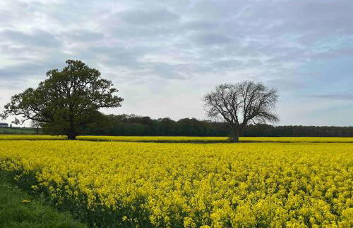 Gonerby Grange Farm Barn, Belton - Foto 7